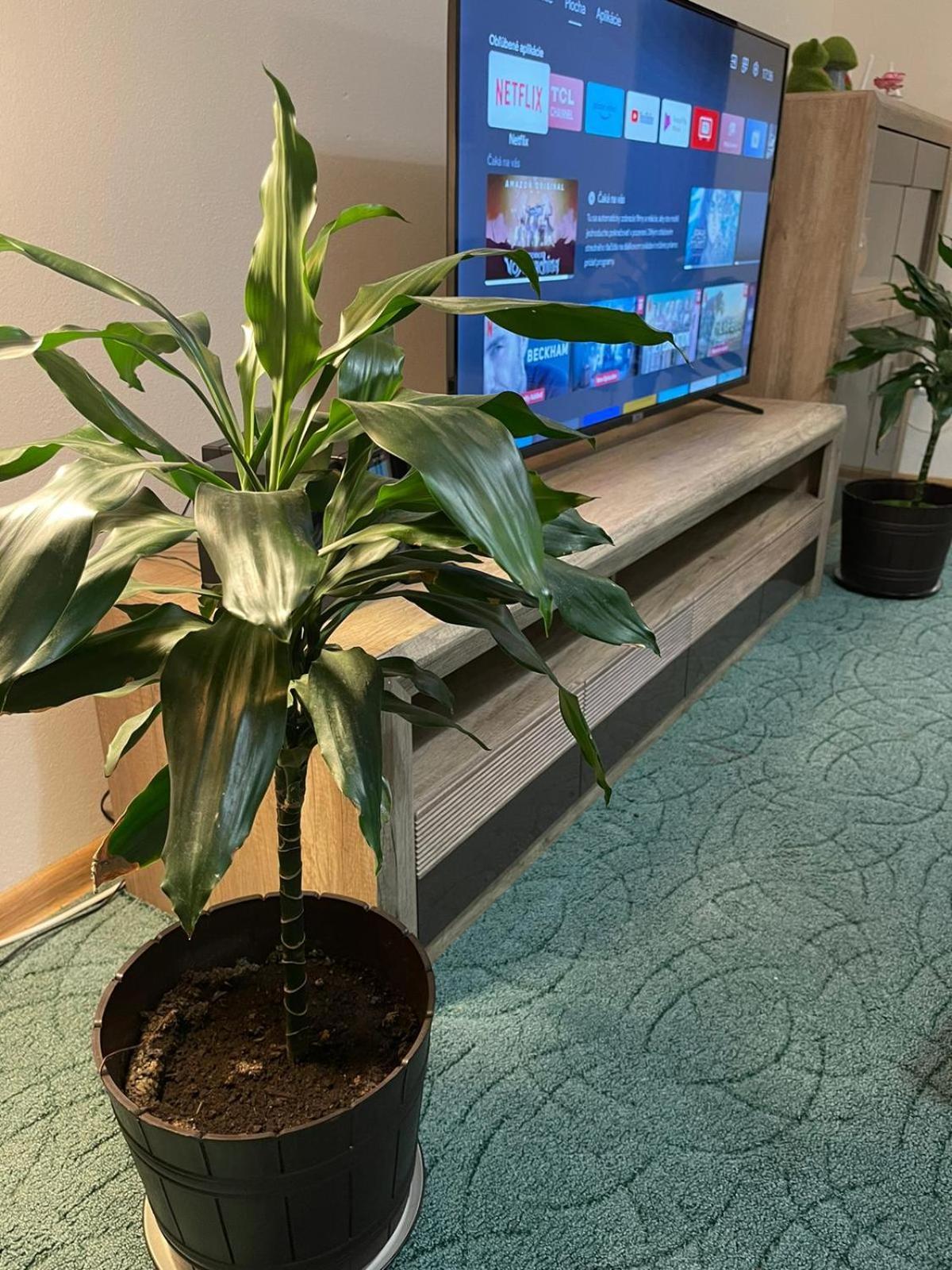 Velky Apartman Μπρατισλάβα Εξωτερικό φωτογραφία